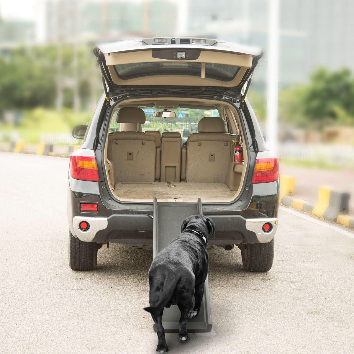 Foldable Pet Ramp Dog Car Ramp 176lbs Load Non-Skid Outdoor Travel Dog Car Ramp for Cars SUVs Trucks - Cargonaut Supply