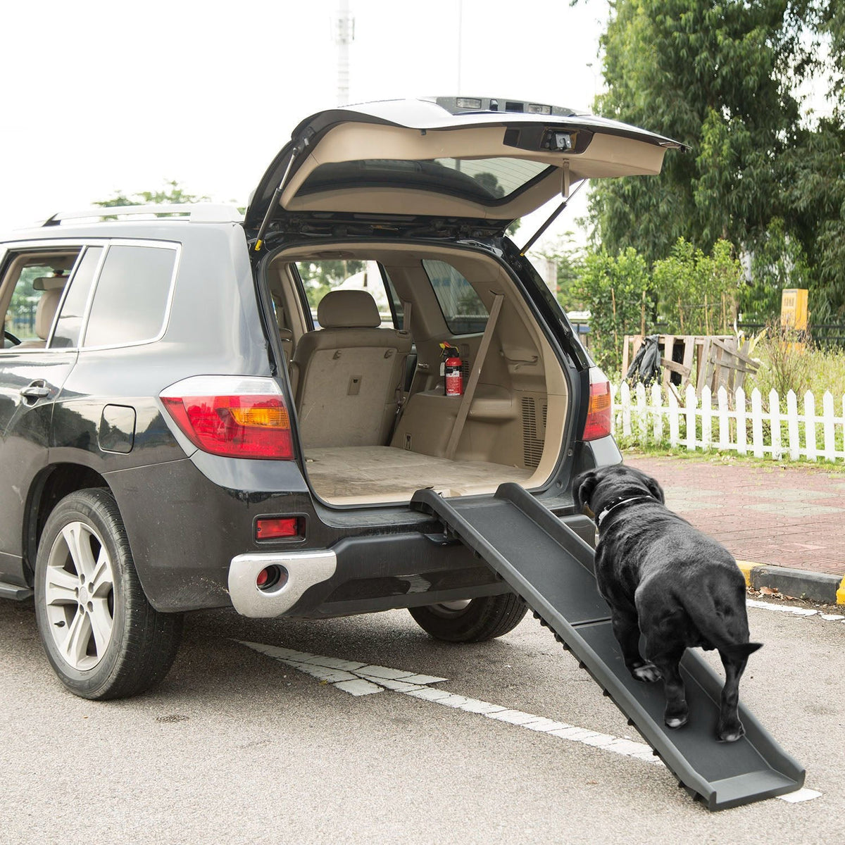 Foldable Pet Ramp Dog Car Ramp 176lbs Load Non-Skid Outdoor Travel Dog Car Ramp for Cars SUVs Trucks - Cargonaut Supply